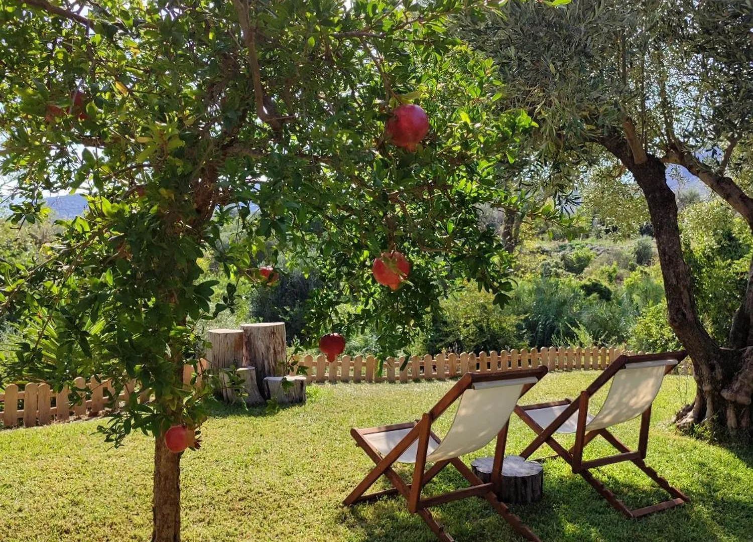 Kykeon Studios Apartment Katelios 0*,  Greece